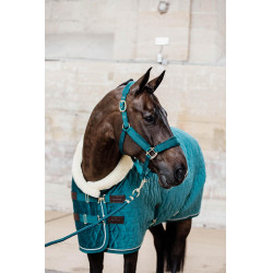 Halfter Velvet Kentucky Smaragd Grün Halfter Velvet Kentucky Smaragd Grün