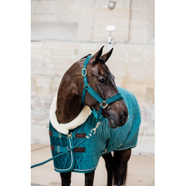 Halfter Velvet Kentucky Smaragd Grün Halfter Velvet Kentucky Smaragd Grün