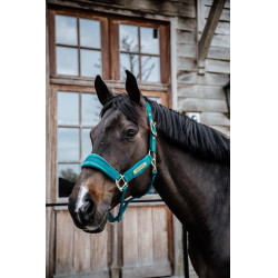 Halfter Velvet Kentucky Smaragd Grün Halfter Velvet Kentucky Smaragd Grün