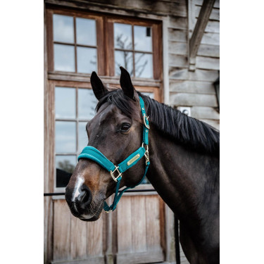 Halfter Velvet Kentucky Smaragd Grün Halfter Velvet Kentucky Smaragd Grün