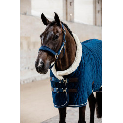 Halfter Velvet Kentucky Marine Marineblau Halfter Velvet Kentucky Marine Marineblau