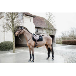 Satteldecke Basic Velvet Jumping Kentucky Schwarz Satteldecke Basic Velvet Jumping Kentucky Schwarz