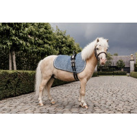 Tapis de selle Velvet jumping Kentucky Bordeaux