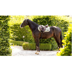 LeMieux Loire Classic Close Contact Schabracke