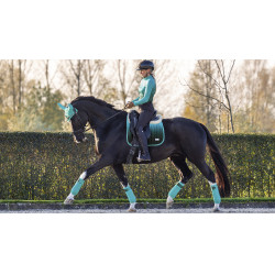 LeMieux Spectrum Dressur Schabracke LeMieux Spectrum Dressur Schabracke