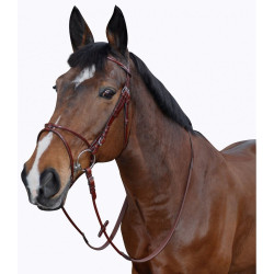 Bridon Lexington Atlanta Combine