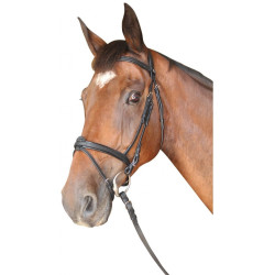 Trense Cabourg Kombiniert Privilege Reitsport Trense Cabourg Kombiniert Privilege Reitsport