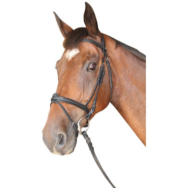 Trense Cabourg Kombiniert Privilege Reitsport Trense Cabourg Kombiniert Privilege Reitsport