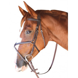 Trense Cabourg Kreuzung Privileg Reitsport