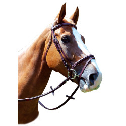 Bridon Royan Kombiniert Privilege Reiten Bridon Royan Kombiniert Privilege Reiten
