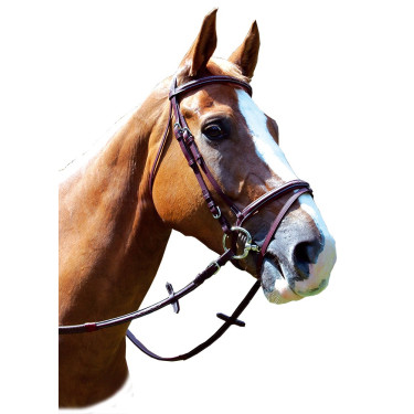 Bridon Royan Kombiniert Privilege Reiten Bridon Royan Kombiniert Privilege Reiten