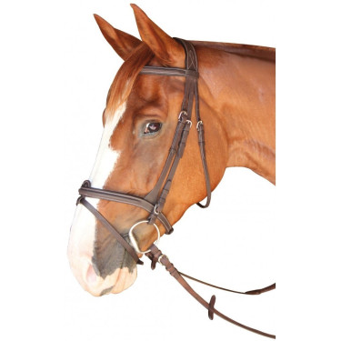 Trense Dinard Kombiniert Privilege Reitsport Trense Dinard Kombiniert Privilege Reitsport