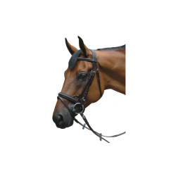 Zaumzeug Pull Back Le Touquet Privilege Reitsport