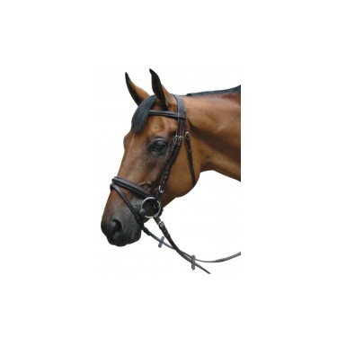 Zaumzeug Pull Back Le Touquet Privilege Reitsport Zaumzeug Pull Back Le Touquet Privilege Reitsport