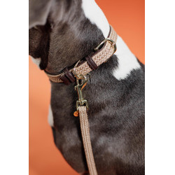 Hundeleine Geflochtenes Nylon 120 cm Kentucky Hundeleine Geflochtenes Nylon 120 cm Kentucky