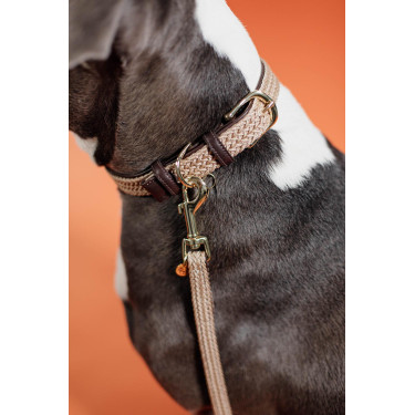 Hundeleine Geflochtenes Nylon 120 cm Kentucky Hundeleine Geflochtenes Nylon 120 cm Kentucky