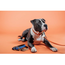 Hundeleine Geflochtenes Nylon 120 cm Kentucky Hundeleine Geflochtenes Nylon 120 cm Kentucky