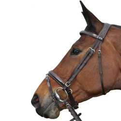 Trense Pull Back Cannes Privilege Equitation