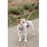 new Altrosa new Altrosa