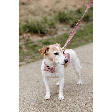 new Altrosa new Altrosa