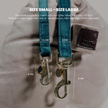 new Altrosa new Altrosa