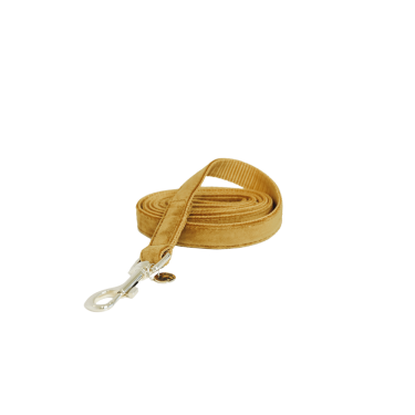 new Senf Gelb new Senf Gelb