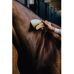 Mittellanger Stopfen Kentucky Mittellanger Stopfen Kentucky