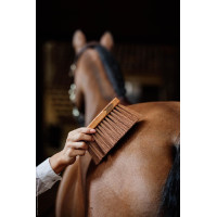 Mittlerer Stopfen Medium Kentucky Braun