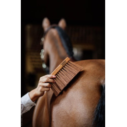 Mittlerer Stopfen Medium Kentucky Mittlerer Stopfen Medium Kentucky