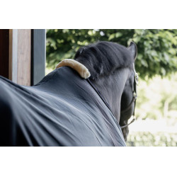 Fliegendecke Kentucky Marineblau