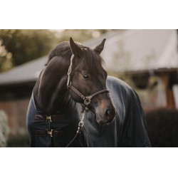 Fliegendecke Kentucky Marineblau