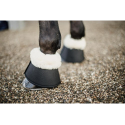 Glocken Schaf Solimbra Kentucky Glocken Schaf Solimbra Kentucky