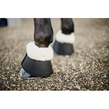 Glocken Schaf Solimbra Kentucky Glocken Schaf Solimbra Kentucky