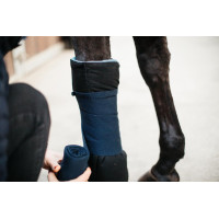 Cotoni americani Magnetici Recuptex, set di 2 Kentucky Schwarz