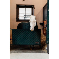 Boxentür Kentucky Schwarz