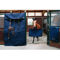 Boxentür Kentucky Marineblau