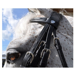 Noivas Hagen Fahnen & Pokal