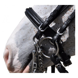 Noivas Hagen Fahnen & Pokal