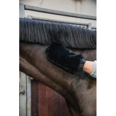 Putzhandschuh Schaf Kentucky Schwarz Putzhandschuh Schaf Kentucky Schwarz
