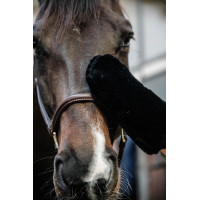 Putzhandschuh Schaf Kentucky Schwarz