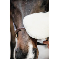 Putzhandschuh Schaf Kentucky Schwarz Putzhandschuh Schaf Kentucky Schwarz