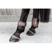 Gamaschen für junge Pferde Kentucky Schwarz