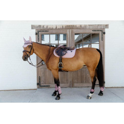 Gamaschen für junge Pferde Velvet Kentucky Altrosa