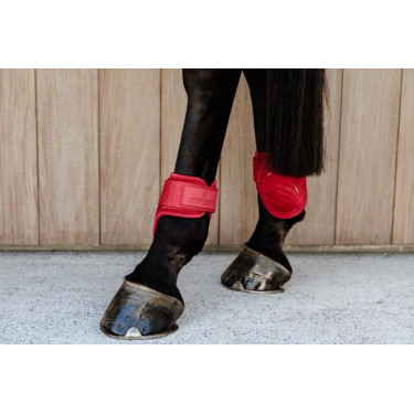 Gamaschen für junge Pferde Velvet Kentucky Gamaschen für junge Pferde Velvet Kentucky