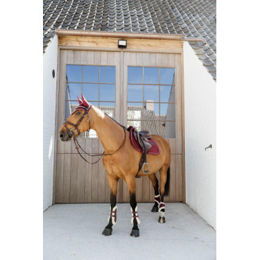 Protège-boulet jeunes chevaux Velvet mouton vegan Kentucky Bordeaux Protège-boulet jeunes chevaux Velvet mouton vegan Kentucky Bordeaux