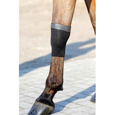 Strumpf Tendon Grip Gel Kentucky Strumpf Tendon Grip Gel Kentucky