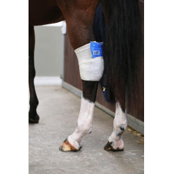 Socken Tendon Grip Kentucky Socken Tendon Grip Kentucky