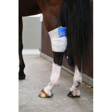 Socken Tendon Grip Kentucky Socken Tendon Grip Kentucky