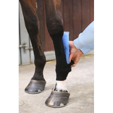 Socken Tendon Grip Kentucky Socken Tendon Grip Kentucky