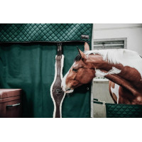 Tenture de Box imperméable Kentucky Vert foncé
